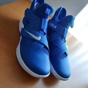 Mens LeBron Soldier (Team) College Navy/White-10.5